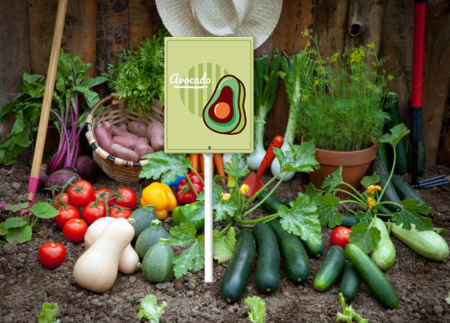 Eveokoki Vegetable Signs For Garden With Stake Avocado Yard Sign Vegetable Garden Label Stakes Plant Markers For Outdoor Plants Waterproof 8x12inch Nursery Garden Fruit Outdoor Sign
