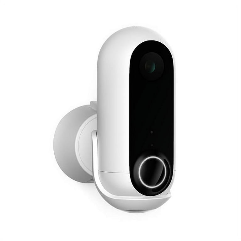 Canary flex best sale walmart