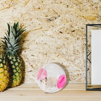 MUSEYA Silent Hamster Running Ball 1 Set Activity for Hamsters Gerbils and Rats Exercise for Pet Fitness and Fun