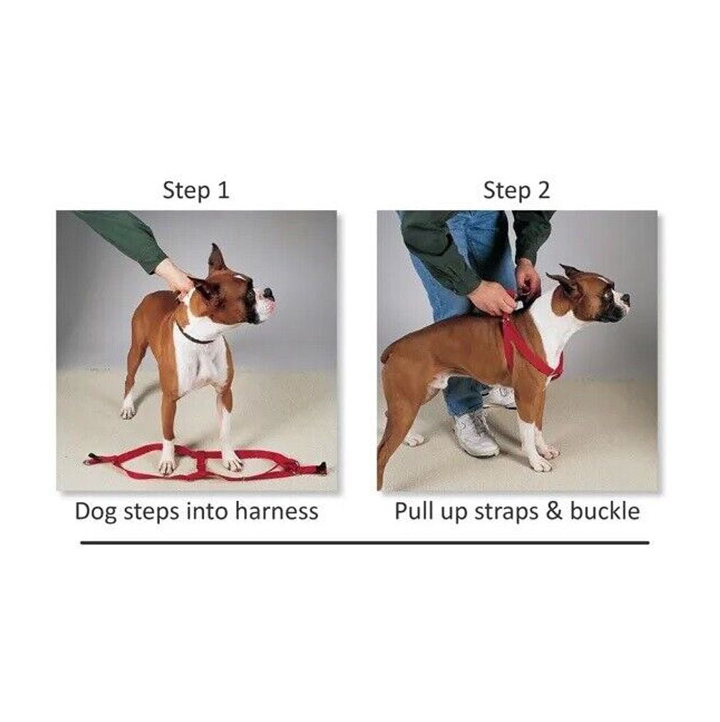 50 Pack Dog Harnesses Bulk Wholesale Assorted Colors Vet Rescue Shelter Safety (Large - 25 to 40 Inch Chest)