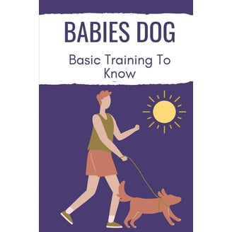 How to Train a Dog No Mistakes: Expert Tips for Success