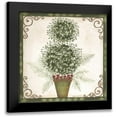 thumbnail image 1 of Shamp, Cindy 15x15 Black Modern Framed Museum Art Print Titled - Topiary IV, 1 of 5