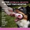 thumbnail image 2 of Pet Honesty Dog, 10 in 1 Multivitamin Mobility Immune Skin Coat Support Supplement w Glucosamine Probiotics and Omegas, Chicken Flavor, 90 Count Soft Chews, 2 of 8