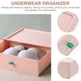 thumbnail image 3 of NIAIZEK Wardrobe Storage Organiser Plastic Drawer Underpants Holder for Socks Organization 1Pcs, 3 of 7