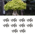 thumbnail image 1 of 100PCS Cestas de Fertilizantes Copas de Malla de Fertilizante de Jardín Cestas de Fertilizantes en Forma de Columna Cestas de Fertilizantes Bonsai Cestas de Fertilizantes Caja de ANGGREK  Otros, 1 of 8