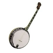 Gold Tone Banjo (Tenor Special) w/ Hard Case - TS-250