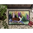 thumbnail image 3 of Carolines Treasures SS8006JMAT Paillasson Intérieur Ou Extérieur 24 x 36 Po. Corgi, 3 of 4