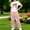 Pink, variant on ITSAME Girls Outfit Set Bow Print T-Shirt and Cargo Pants 2-Piece Summer Fashion Casual Clothes Blue Size 12