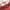 Red, variant on Greenland Home Fashions Oxford Cotton Quilt Set, Reversibe, 3-Piece King, Red