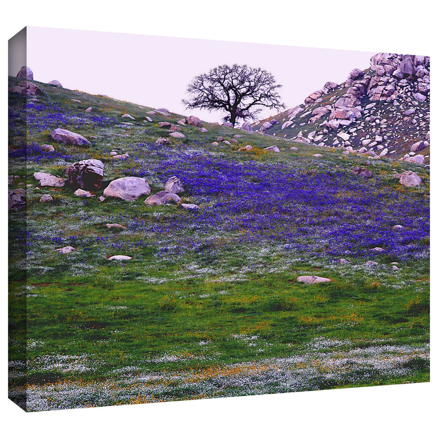 Dean Uhlinger "Sierra Foothills Spring" Gallery-Wrapped Canvas
