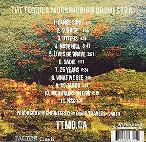 Tequila Mockingbird Orchestra - Follow My Lead Lead Me to Follow - Music & Performance - CD