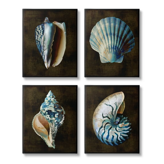 Stupell Industries Dark Maritime Seashells Animals & Insects Painting Gallery Wrapped Canvas Art Print Wall Art, 11 x 14, Set of 4