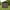 Black:6'x4', variant on 8x6ft. Outdoor Metal Storage Shed with Lock, Sesslife Tool Shed for Backyard, Garden, Black