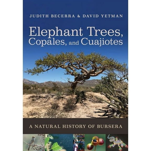 Elephant Trees, Copales, and Cuajiotes: A Natural History of Bursera, (Paperback)