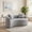 Light Gray, variant on Sailvan S-Curved Chenille Sofa Loveseat, Dual-Depth, No Assembly, Compact for Small Spaces