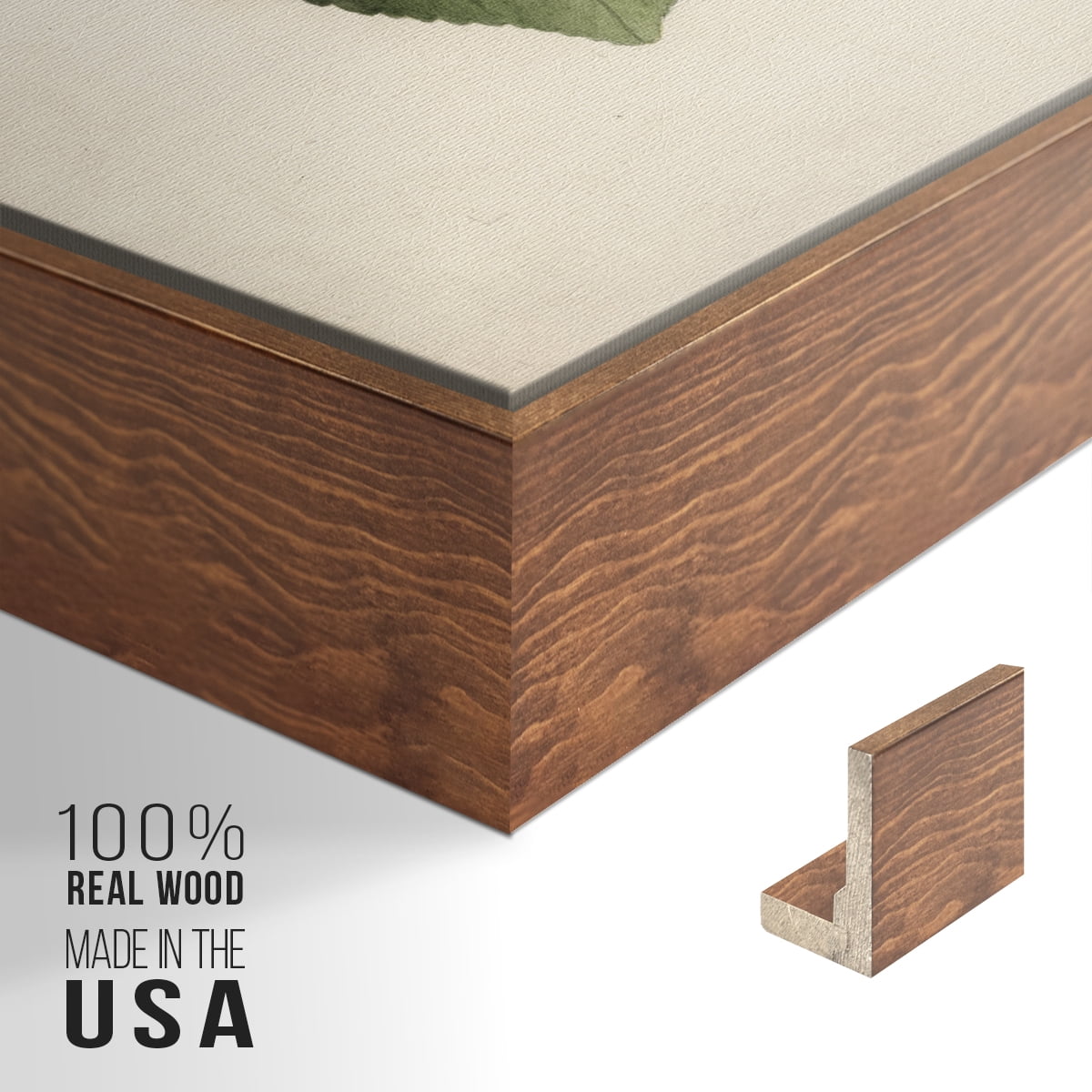 Vintage Botanical Print-XLV By Wexford Home Framed in Walnut Wood Gallery Wrapped Canvas 27 in. x 41 in.