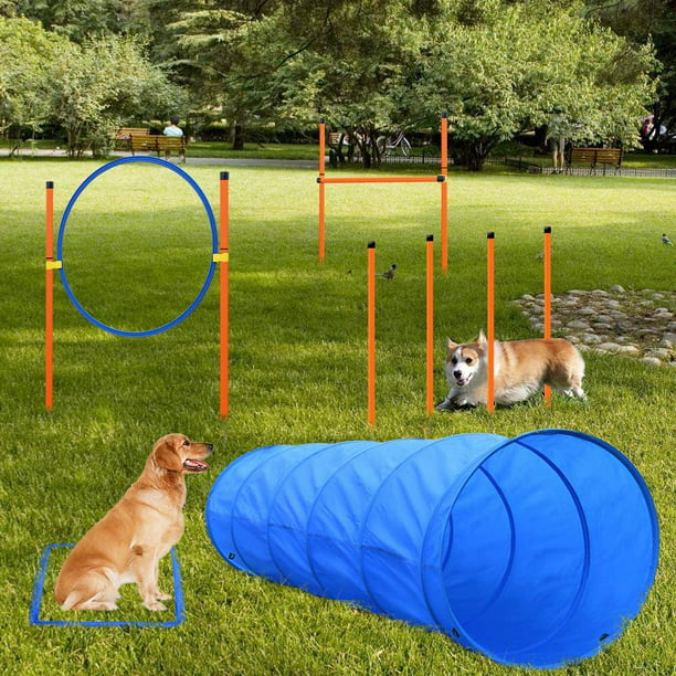 Coolnut Dog Agility Equipments, Courses Training Kit, Pet Outdoor Games for Backyard Includes Dog Tunnel, Jumping Ring, High Jumps, 4 Pcs Weave Poles, Pause with Carrying Case - Walmart.com