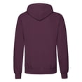 thumbnail image 2 of Fruit of the Loom Chandail à Capuchon Classique pour Hommes, 2 of 3
