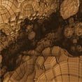 thumbnail image 1 of Ahgly Tapis d'Intérieur Lavable en Machine Carré Rouge Nuit, 4 Pieds Carré, 1 of 7