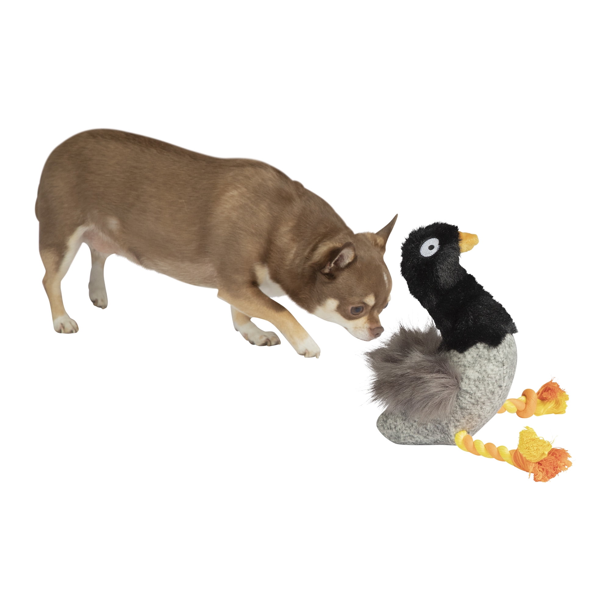Manhattan Pet Toy Goofy Gus Honking Bird Squeaker Dog Exercise Toy