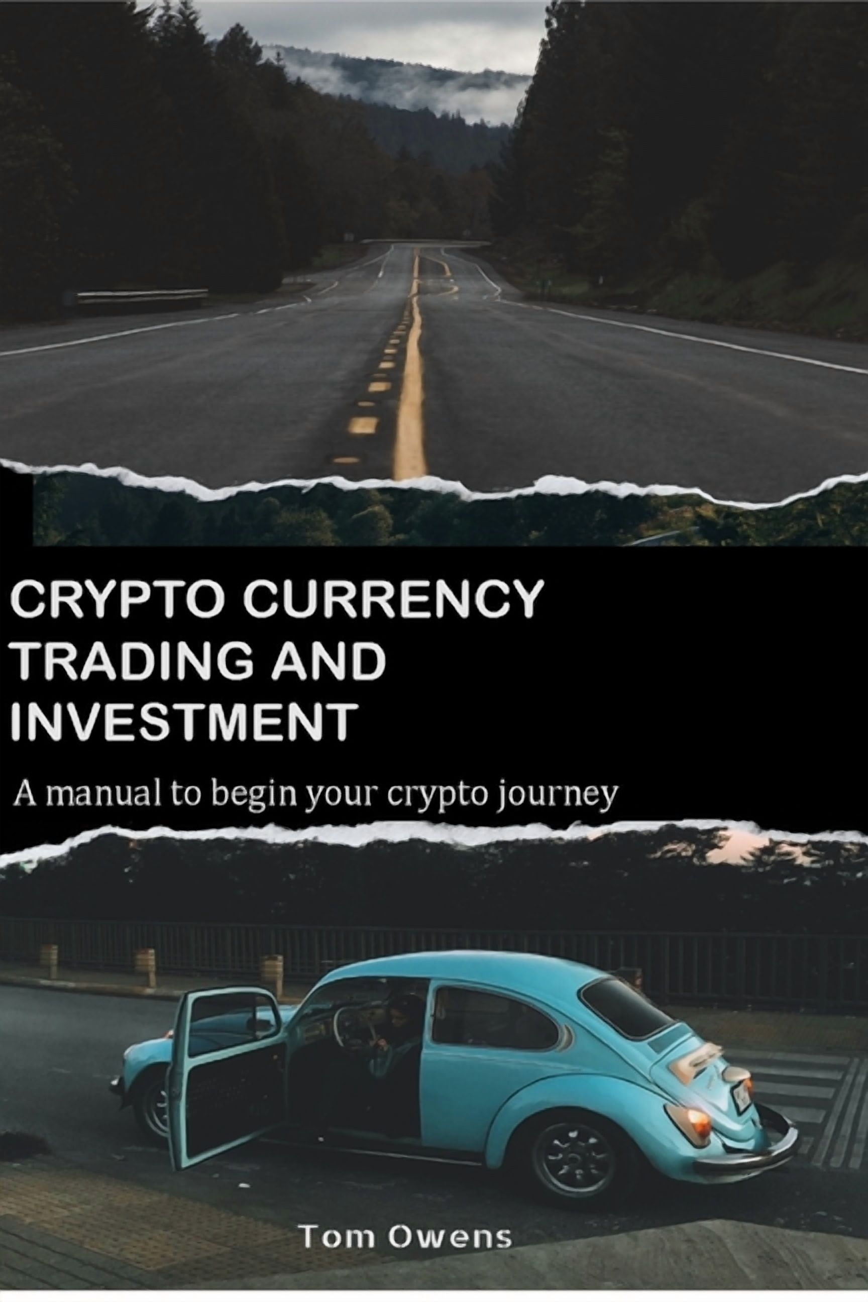The Crypto Investor: An Intelligent Approach to Investing in  Cryptocurrencies, (Hardcover) - Walmart.com