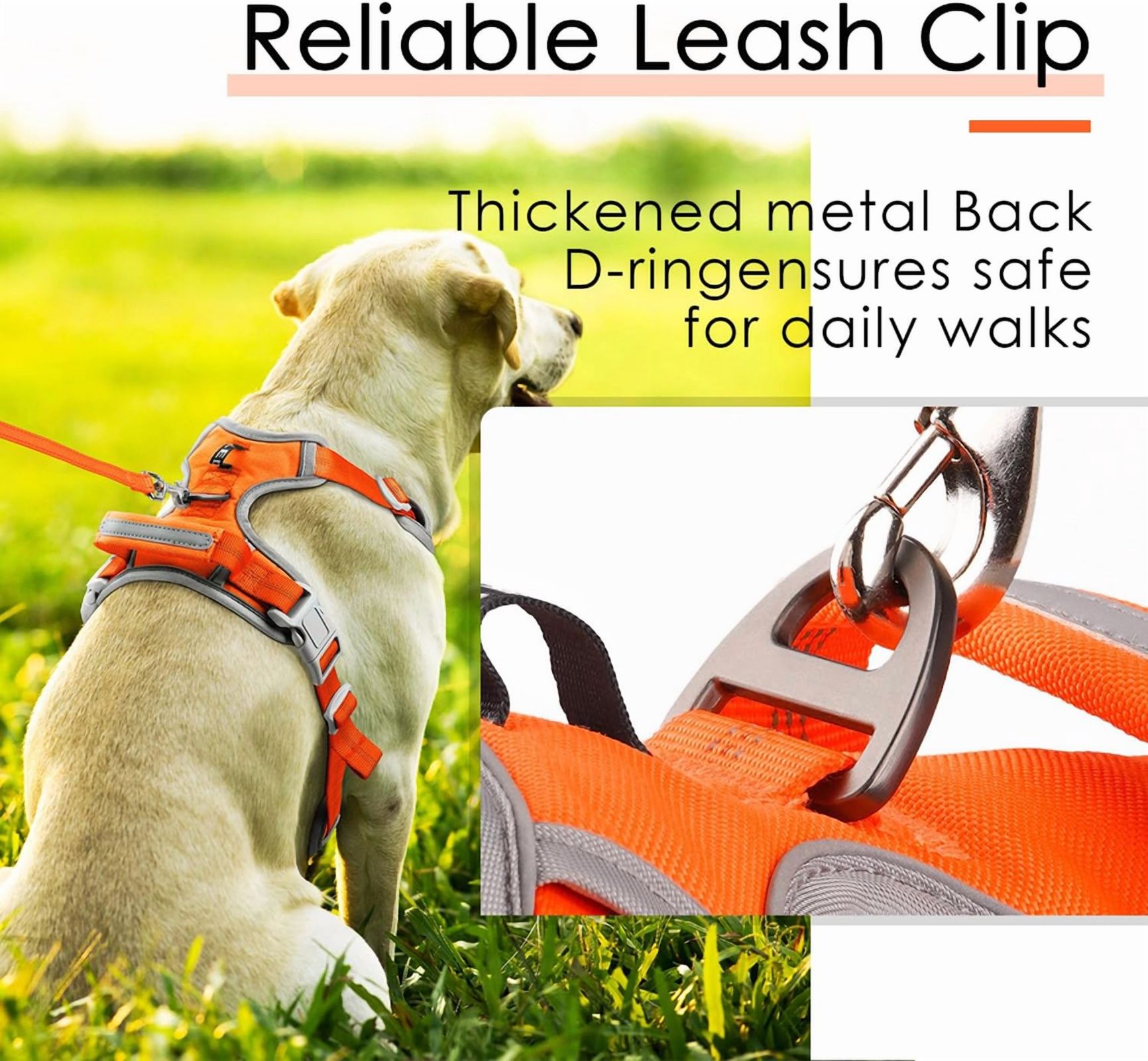 ThinkPet No Pull Harness Set Breathable Sport Harness with Handle - Reflective Padded Dog Safety Vest with Reflective Neon Dog Leash
