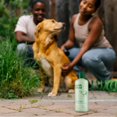 thumbnail image 2 of Earth Rated, Shed & Shine Shampoo, All Coat Types, Gentle and Hypoallergenic, Mango Butter Scent, 2 of 6