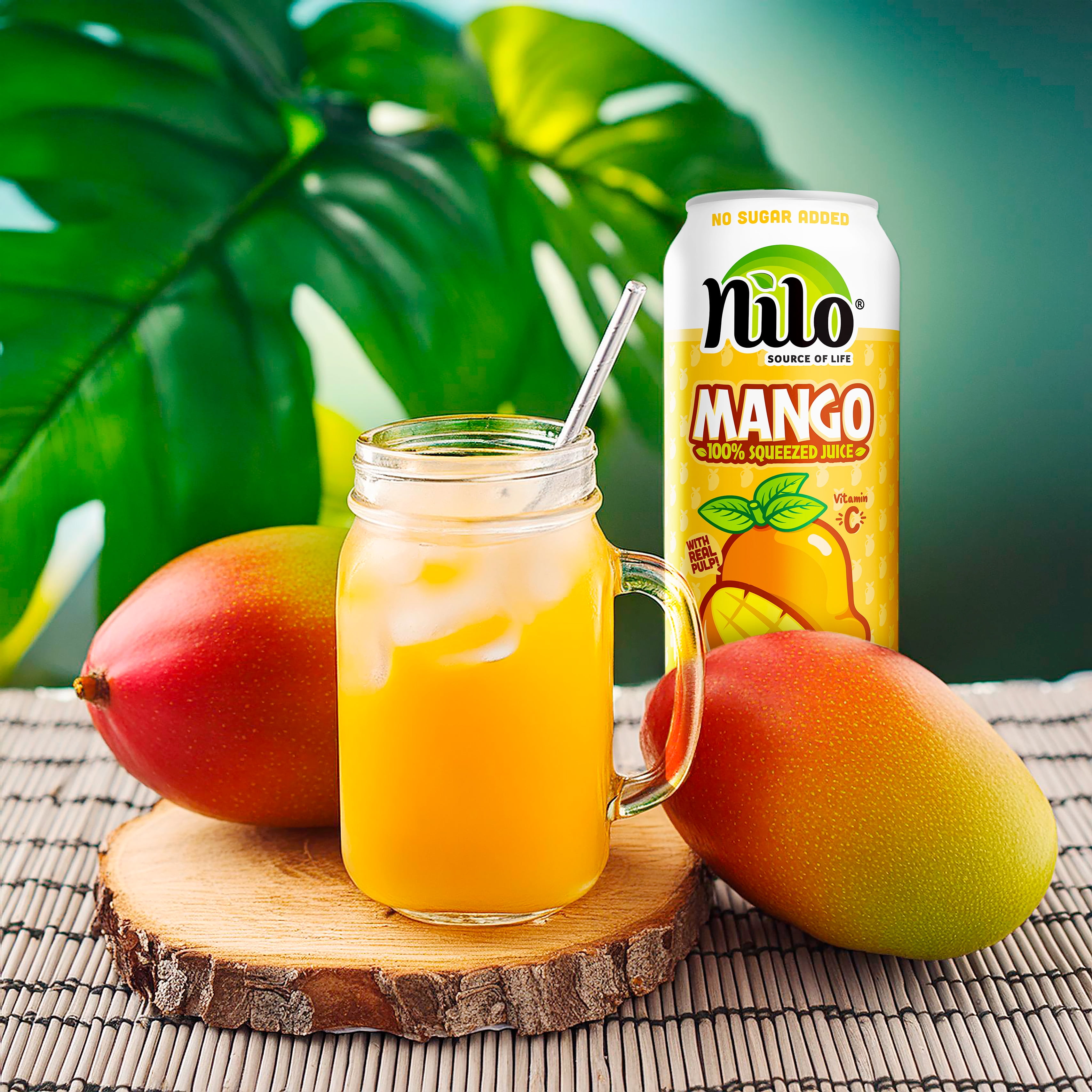 NILO Mango Juice | 100% Squeezed Mango | NO Sugar added | NOT From Concentrate | 16.57 oz (Pack of 12)