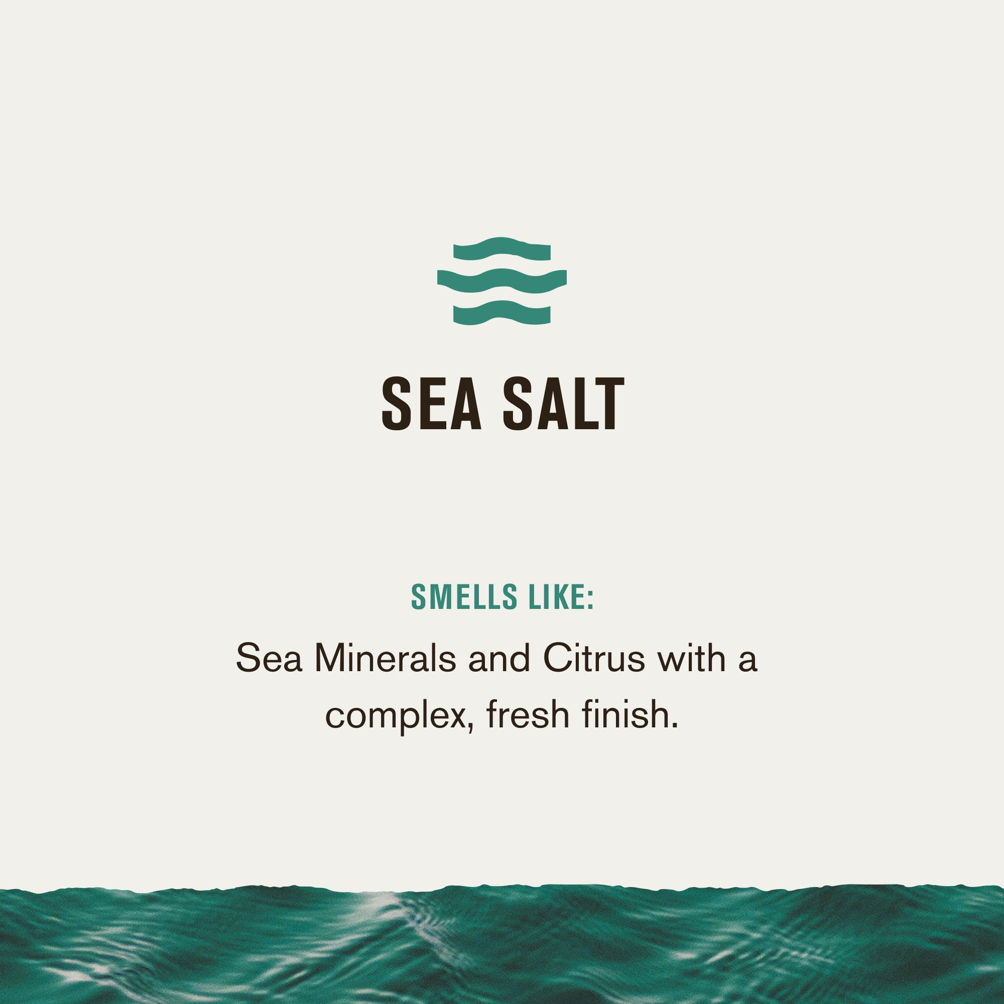 Every Man Jack Sea Salt Hydrating Mens 3-in-1 All Over Wash - 32oz
