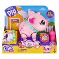 thumbnail image 1 of Little Live Pets - Mon Cochon de Compagnie, 1 of 6