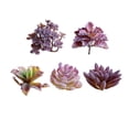 thumbnail image 3 of 5pcs Simulation Succulent Flower, 3 of 3