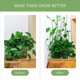 thumbnail image 3 of Clips de Plantas para Plantas Trepadoras (Paquete de 180), Clips de Pared para Plantas Trepadoras para Apoyar el Crecimiento Vertical de los Tallos, Enredaderas, 3 of 5