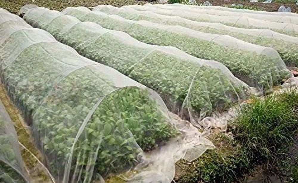 Agfabric 6.5'x50' Bug Net Insect Bird Netting, Garden Netting Protect Plants Fruits Flowers Against Bugs, Birds & Squirrels