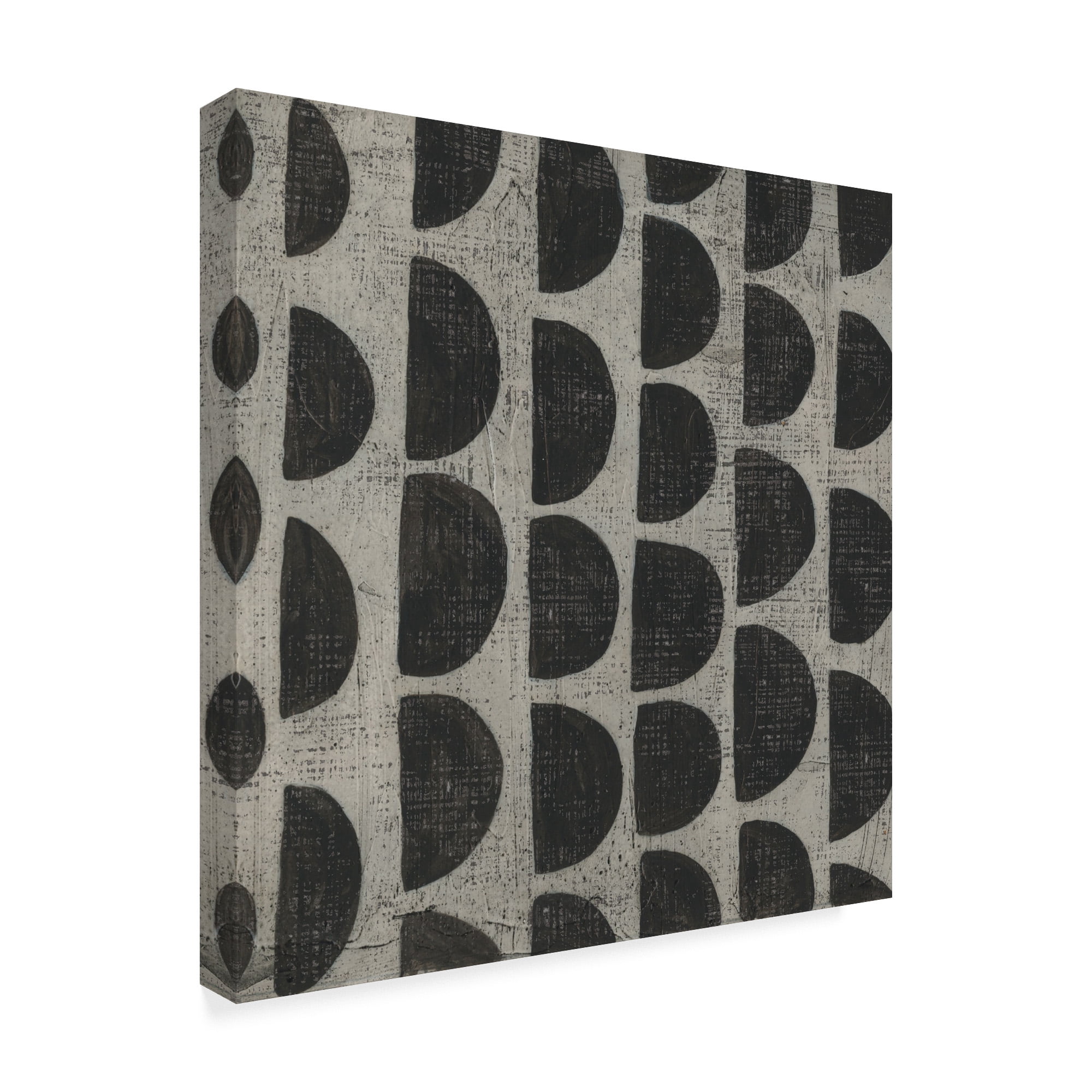 Trademark Fine Art 'Stone V' Canvas Art by Chariklia Zarris
