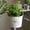 White-B, variant on Jute Rope Hanging Planter with Liner - Woven Macrame Plant Hanger for Indoor Boho Home Decor, Decorative Basket for Flower Pots