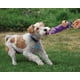 thumbnail image 2 of Juguete para Perro KONG Knots Alce Mediano, 2 of 4