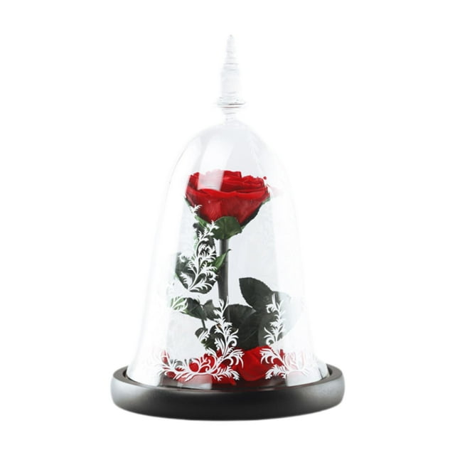 Regalo de rosa, regalo romántico, regalo de San Valentín, flor preservada para ella Rojo