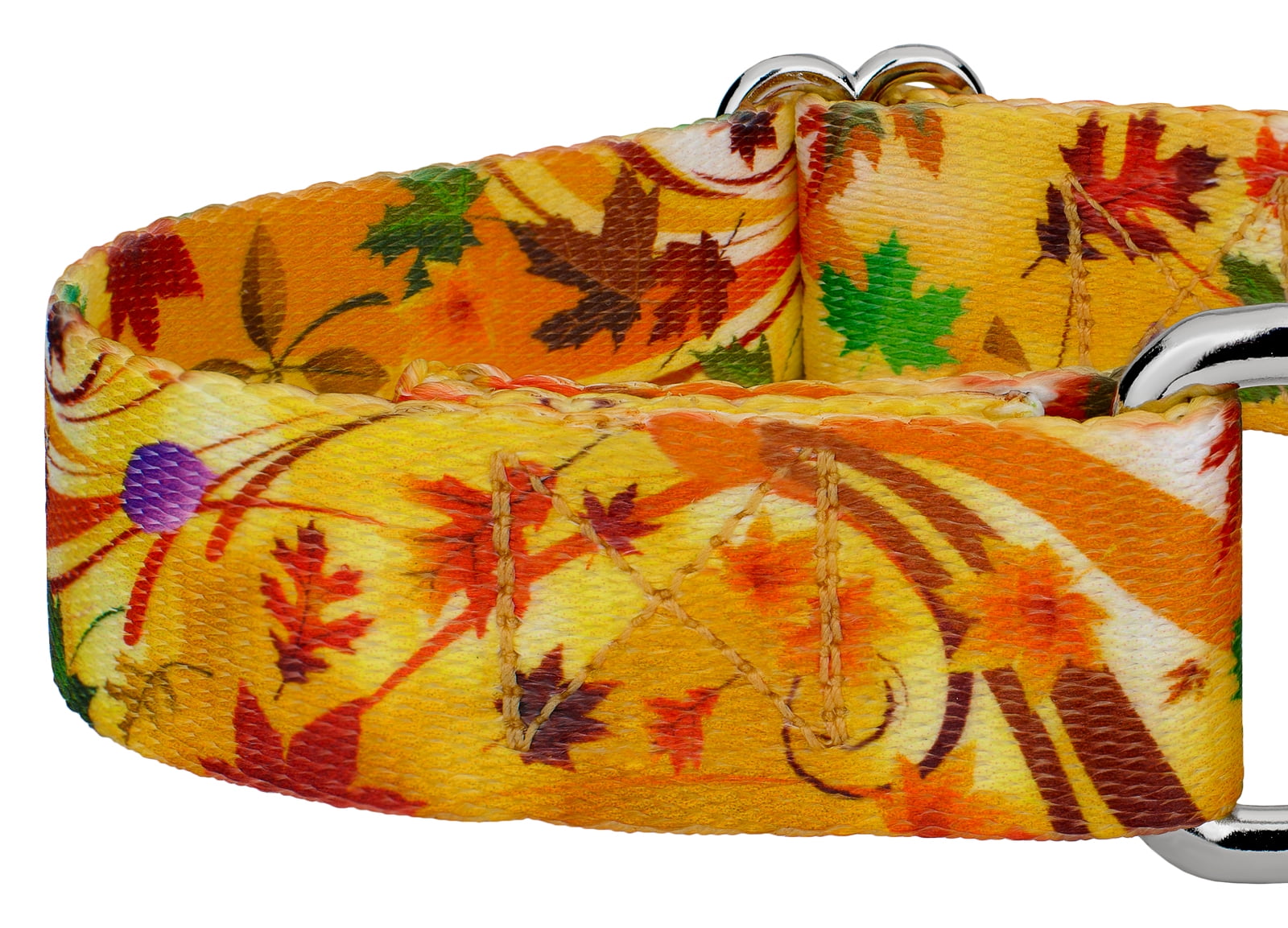 Country Brook Petz® Autumn Wind Martingale Dog Collar and Leash, Medium
