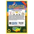 thumbnail image 2 of Everwilde Farms - 500 Strawberry Palestine Clover Garden Flower Seeds - Gold Vault Jumbo Bulk Seed Packet, 2 of 4