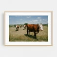 thumbnail image 2 of COWGIRLS - Spearman Texas Photography Rural Farmhouse Nature Rustic Landscape Unframed Wall Art Print 24 x 36 inches, 2 of 7