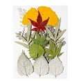 thumbnail image 1 of Hojas secas naturales DIY Art Hecho A Mano A La Planta Enmarcada De Hojas De Hojas Decoración Decorativa Para Hogar Para Tarjetas De Boda Resina Vela Verde Hoja 9 Irene Inevent HA010772-02, 1 of 7