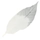 thumbnail image 4 of Paquete de 100 hojas de de magnolia decorativas para manualidades, hojas artificiales, tarjetas para manualidades, álbum de recortes, adorno, 4 of 9