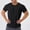 Black, variant on Men's Ice Silk Performance Tee (S-XXL),Sun Protection Short Sleeve Tight Fit Quick Dry Training Top White Size S