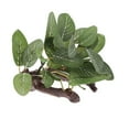 thumbnail image 2 of Plantas Plantas Artificiales Plantas Acuáticas Plantas Decorativas para Acuario Terrario jinwen  Plantas de agua de vivero de reptiles, 2 of 8