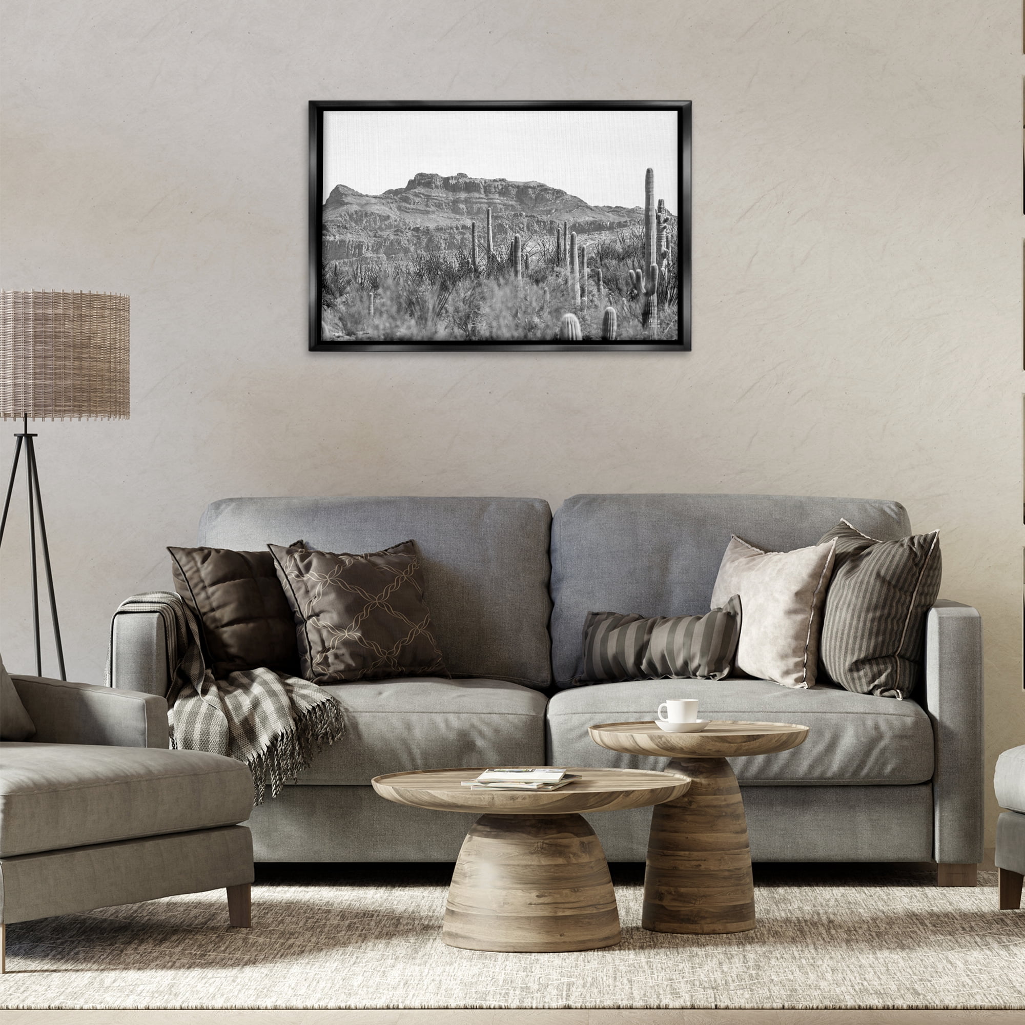 Stupell Industries American Borderlands Desertscape Landscape & Nature Photography Black Floater Framed Canvas Art Print Wall Art, 31 x 21