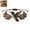 G, variant on Bisitoy Beaded Bracelets for Women DIY Making Kit Jewelry Craft Set
