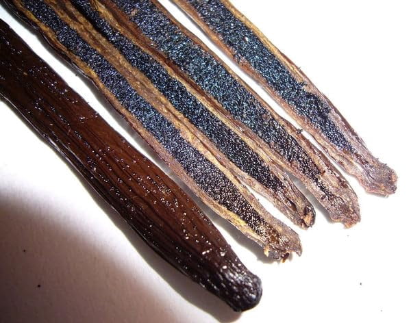 25 Vanilla Beans Whole Grade A Vanilla Pods for Homemade Vanilla Extract, Baking, Ice Cream, Flavoring, & Vanilla Powder - Democratic Republic of Congo