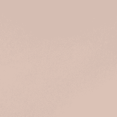 Assorted (colors/prints vary)
