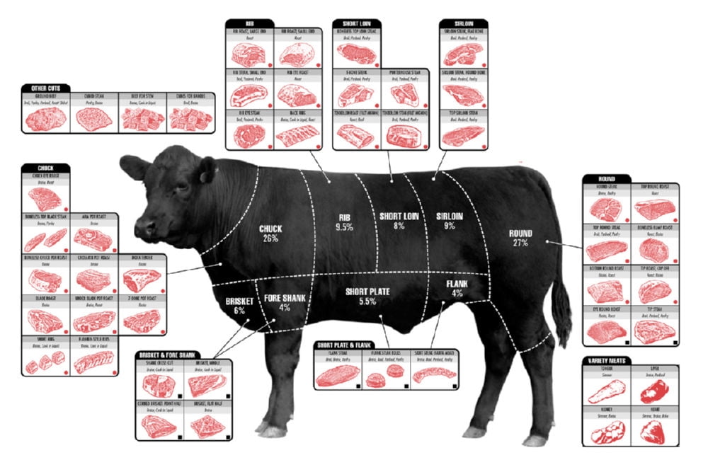 Beef Cuts Of Meat Butcher Chart Cattle Diagram Poster 16in X 24in 16x24 