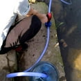 thumbnail image 4 of BESTOYARD Drill Powered Liquid Transfer Pump Dark Blue 1Pcs Self Priming Water Pump, 4 of 5